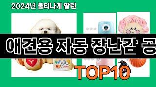 애견용 자동 장난감 공 2024 최강 쿠팡로켓배송 추천 Top 5