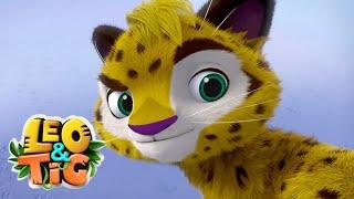 Leo & Tig  LIVE  BEST EPISODES  Super Toons TV