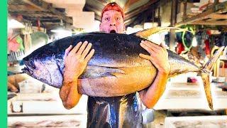 Filipino Seafood Tour! The Real King of Tuna in Mindanao!