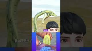 Как выжить, если вас проглотила анаконда? 