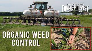 How Organic Farmers Kill Weeds  |  MD F&H