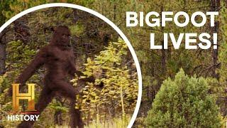 4 UNBELIEVABLE BIGFOOT SIGHTINGS! | The Proof Is Out There