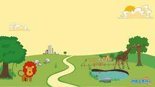 Environment and Ecology Facts - Environment Science for Kids | Educational Videos by Mocomi