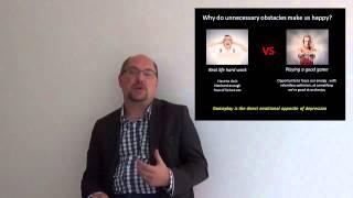Jannie Malan - Engineering Happiness