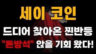 [세이 코인] 드디어 찾아온 찐반등 "돈방석" 앉을 기회 왔다!