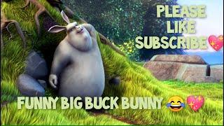 Big Buck Bunny || @Boland-thoms Family Official