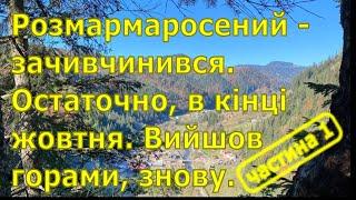 Розмармаросений - зачивчинився. Остаточно, в кінці жовтня. Вийшов горами, знову.