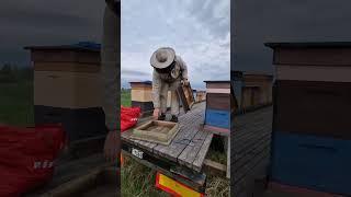 Прицепы готовы к работе ! #пчеловодство #мёд #пасека #весна