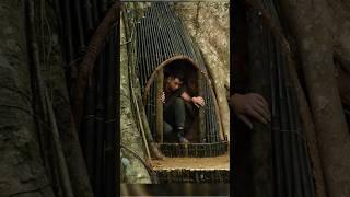 Make a shelter inside an old tree with outstanding skills #outdoors #survival #campping #skills