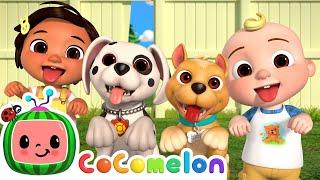 Puppy Play Date | CoComelon Nursery Rhymes & Kids Songs