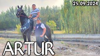 СОЛОХИДДИН ПОЛВОНДАН ОТНИГ КУЧЛИГИ АРТУР СОТИЛАДИ  !..