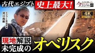 【デカすぎ】古代エジプト史上最大！未完成のオベリスクを現地解説（ピラミッド・ハトシェプスト・アスワン・花崗岩・歴史・遺跡・考古学）