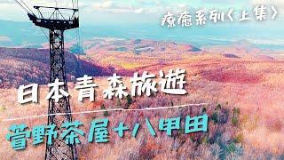 一個人自由行｜日本東北青森旅遊《上集》搭乘みずうみ巴士遊青森知名景點：萱野茶屋喝長壽茶 x 八甲田纜車欣賞紅葉