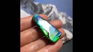 Canadian Ammolite Fossil #ammolite  #fossil #gemstone #ammonite #specimen #jewelrymaking
