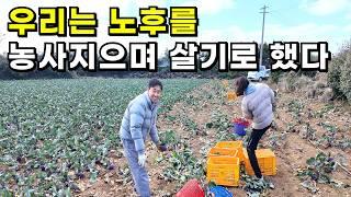 서울대 나온 아내와 월 1,300만원 벌던 남편이 시골로 가서 농사 짓는 이유ㅣ인생 2막, 노후를 시골에서 보내렵니다 #제주도귀농귀촌#귀농귀촌#시골부부#전원주택#시골살이#전원생활