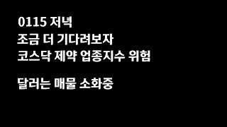 0115 조금만 더 기다려보자 / 코스닥 제약 업종지수 넥라인 붕괴 / 우리달러가 달라졌어요