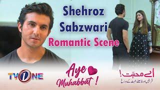 Shehroz Sabzwari Romantic Scene | Aye Muhabbat Last Episode | Best Scene