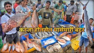 करंजा होलसेल मासेमारी बंदर | Karanja Dock Fish Market | इतकी स्वस्त आणि ताजी मासळी..