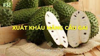 Xuất khẩu mãng cầu gai sang Nhật Bản | Câu Chuyện Triệu Đô - Podcast #32