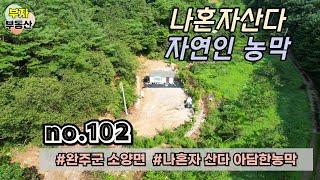 (102번) 매매가다운! 자연인 산속 내맘대로 토지+농막 매매 {완주군 부자부동산}