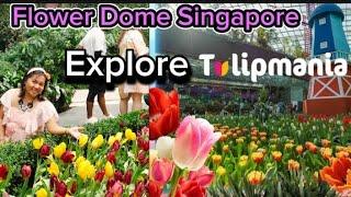 Explore Tulip Season at Flower Dome Singapore 