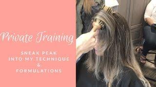 How to: Seamless (faux) Balayage on dark hair! Formulas & technique