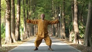 Shaolinsi Yijinjing (Shi Yan Hui shifu) correct))