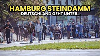 Hamburg wird zu Bagdad!  80% Migration am Steindamm!  katastrophale Zustände￼ in Deutschland!