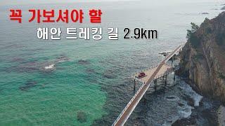 동해안 가시면 여기 꼭 가세요 -한국에서 가장 아름다운 해안잔도 트레킹 2.9km