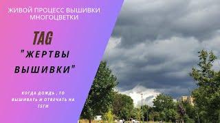 ТЕГ "Жертвы вышивки".  Живой процесс #вышивки #многоцветки