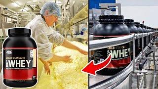 How WHEY PROTEIN is Made In Factories | You Won't Want to Miss This!