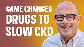 Game Changer Drugs to Slow Kidney Disease Progression: Insights with Dr. Rosansky | Dadvice TV