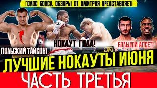 Boxing. BEST KNOCKOUTS OF 2025! June, Part Three