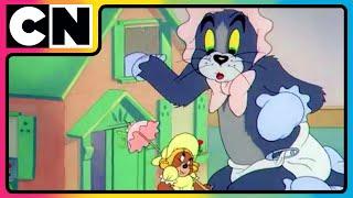 Tom & Jerry  | Enjoy the Eternal Cat & Mouse Game  of Tom & Jerry on Cartoon Network India