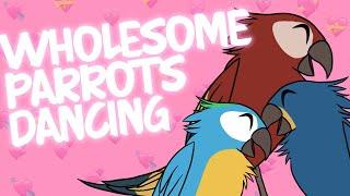 Wholesome Parrots Dancing (Animation) - AnimatedMau