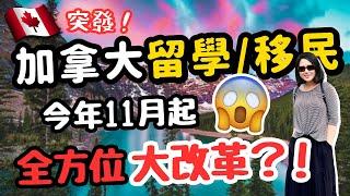 突發‼️ 你準備好11月起加拿大留學/移民的新政策了嗎⁉️政策竟然存在這樣的漏洞⁉️ #移民加拿大 #加拿大留學