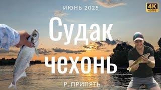 Отдых и рыбалка на реке Припять 3 дня с палаткой! ЧЕХОНЬ клюёт как с пулемёта!