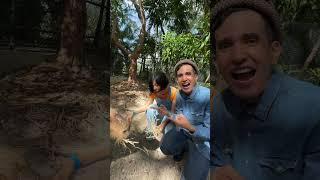 Chris  a #capibara #capibaradeleste #musicainfantil #cancionesinfantiles #kidsmusic #animals