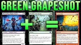 THE GREEN GRAPESHOT! Weather the Storm + Marauding Blight-Priest — MTG Pauper | Magic: The Gathering