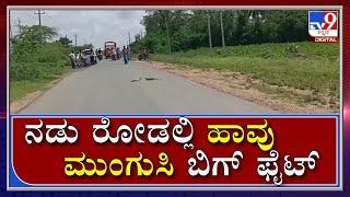 ಹಾವನ್ನು ಸೋಲಿಸಿ ಹಾವನ್ನು ಹಿಡಿದು ಎಳೆದುಕೊಂಡು ಹೋದ ಮುಂಗುಸಿ|