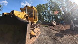 Pulling Down Dangerous Trees near a Solar Farm