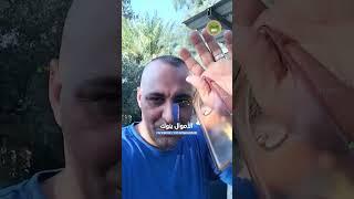 شاب مصري لقى 75 خروف ضايعين في الأردن: ليه الناس هناك طايرين بيه؟