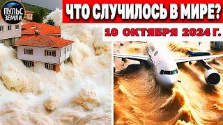 Катаклизмы за день 10.10.2024! катаклизмы сегодня новости сегодня  События Дня чп новый выпуск