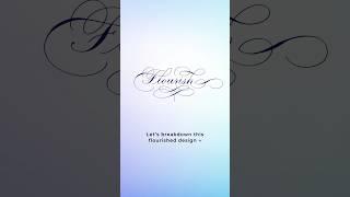 Calligraphy Flourishing Video Tutorial  Join The Flourish Space #calligraphy #lettering #shorts