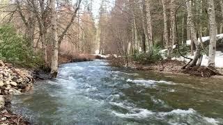 A random river in Fish Camp, California, 30 minutes