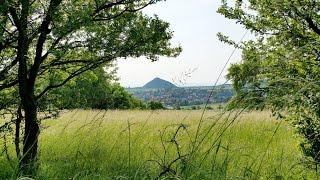 Wandern im Harz: Der Bergbaupfad Wettelrode, Mooskammer und die Burgruinen von Morungen