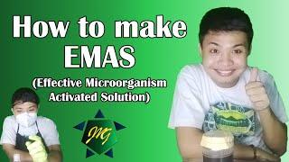 How to make EMAS (Effective Microorganism Activated Solution)