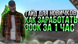 ГАЙД КАК ЗАРАБОТАТЬ НОВИЧКУ 400К ЗА 1 ЧАС! НА (RADMIRР RP) (1)