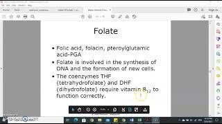 Water soluble vitamin part II