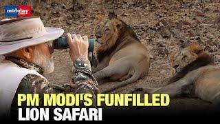 World Wildlife Day: PM Modi takes a lion safari at Gir National Park - WATCH